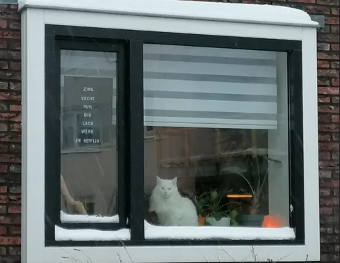 De mevrouw van het letterbord - LifeSkool