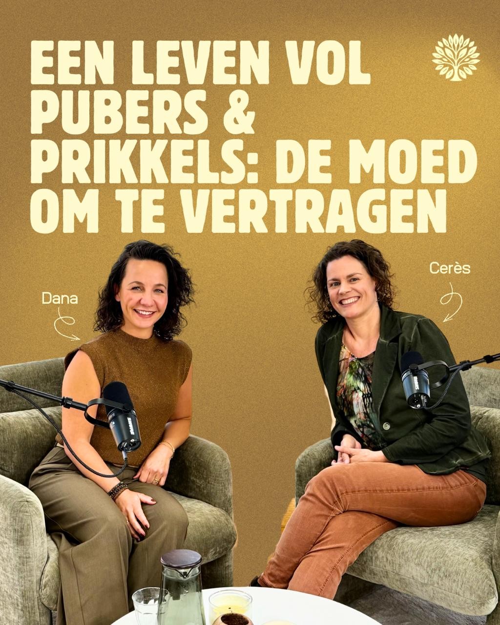 Podcastcover Een leven vol pubers & prikkels: de moed om te vertragen